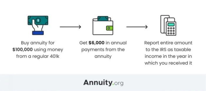 Annuity jane policy she definition meaning chose took thanks options those four single had when her life out